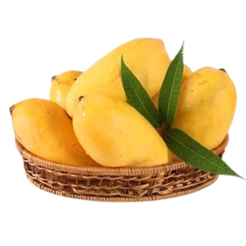 Pakistani Mango